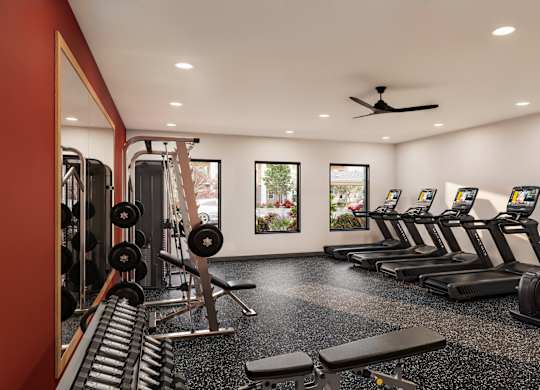 A gym with treadmills, weights, and a fan.