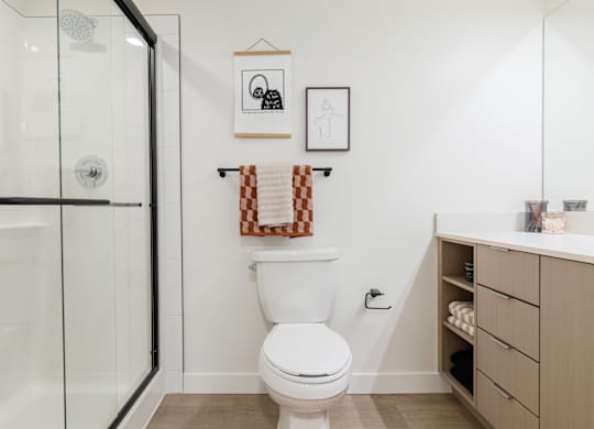 A white toilet in a bathroom with a white shower and a white cabinet.