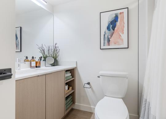A white toilet sits next to a cabinet with a plant on top.