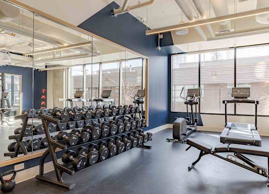 A gym with a row of dumbbells and a bench.