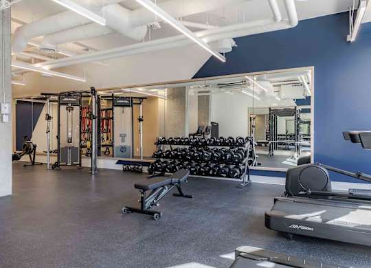 A gym with a variety of equipment including weights and a treadmill.