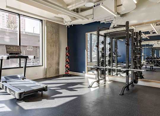 A gym with a treadmill, weights, and other equipment.