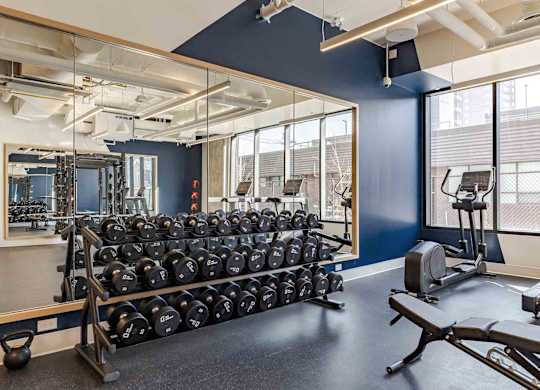 A gym with a row of black dumbbells on a rack.