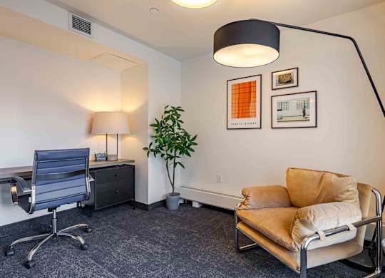 A room with a grey chair, a brown couch, and a plant.