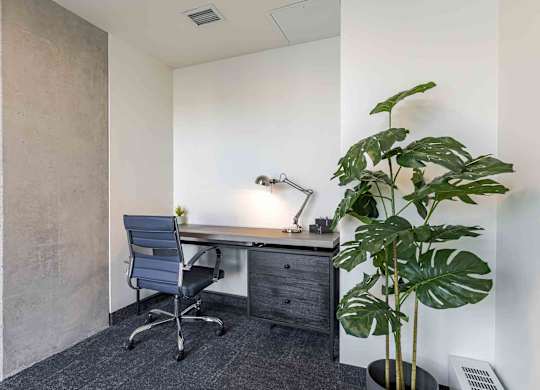 A room with a desk, chair, and a plant.