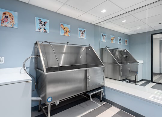 A clean, modern kitchen with stainless steel appliances and pictures of dogs on the wall at Clayton on the Park Apartments, Clayton, MO, 63105