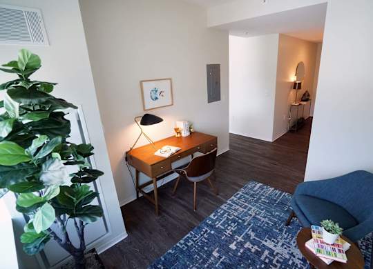A room with a desk, chair, and potted plant.