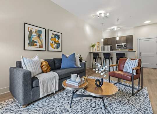 A living room with a grey couch, a coffee table, and a rug.
