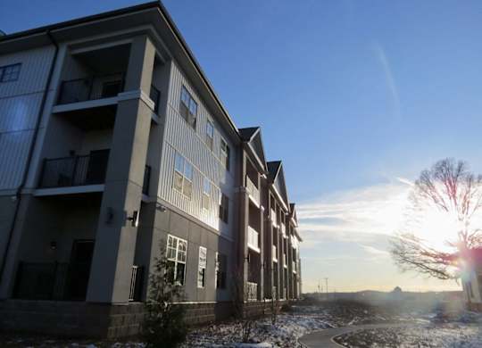 Apartment buildings with a clear sky and sunlight shining through the trees.