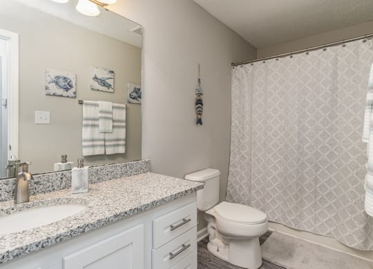 a bathroom with a shower and a sink and a toilet at Litchfield Oaks Apartments, South Carolina, 29585