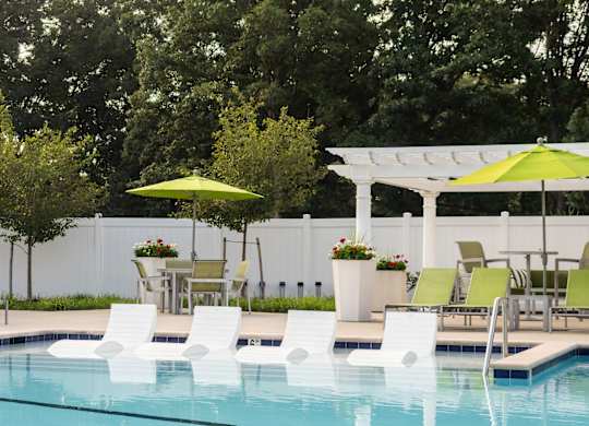 A pool with chairs and umbrellas is surrounded by trees.
