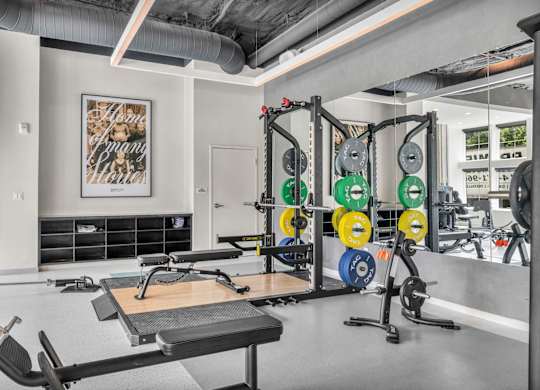 A gym with a variety of equipment including weights and a bench.