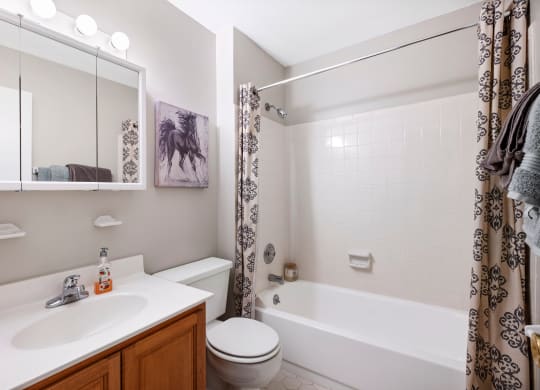a bathroom with a sink toilet and bathtub