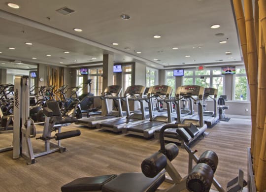 treadmill at The Charleston Apartments