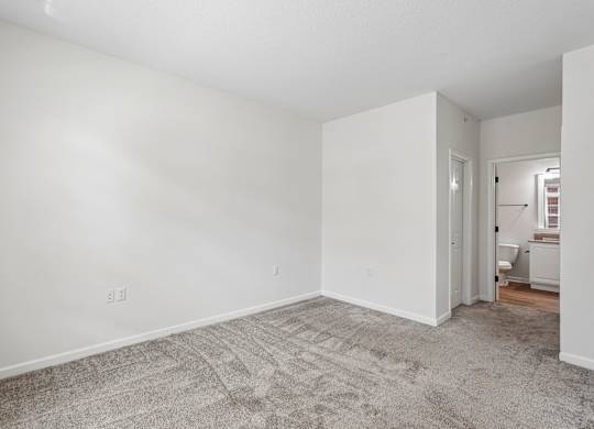 A room with white walls and a carpeted floor.
