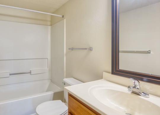 a bathroom with a sink and a toilet and a bath tub
