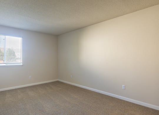 an empty bedroom with carpet and a window