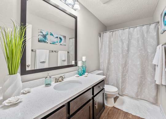 A bathroom with a white countertop and a white sink.