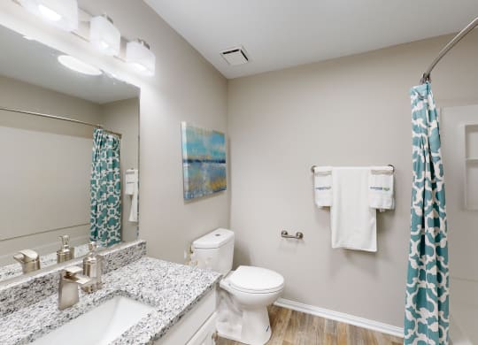 plenty of counter space in the bathroom