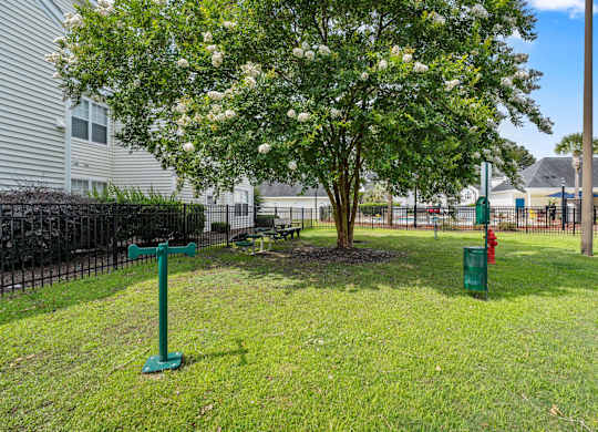 A green post in a grassy area with a tree and a fence in the background.