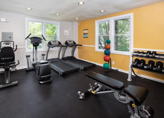 a home gym with treadmills and exercise balls