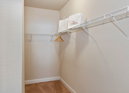 Amelia Station Apartments in Clayton NC Closet