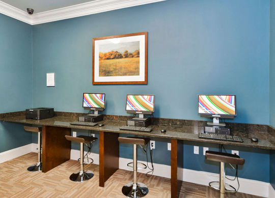 Business Center Amelia Station Apartments in Clayton NC