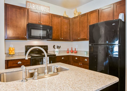 Amelia Station Apartments in Clayton NC Kitchen