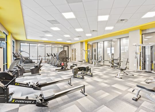 Fitness area at Pier 33 apartments at Pier 33 Apartments, Wilmington, NC, 28401