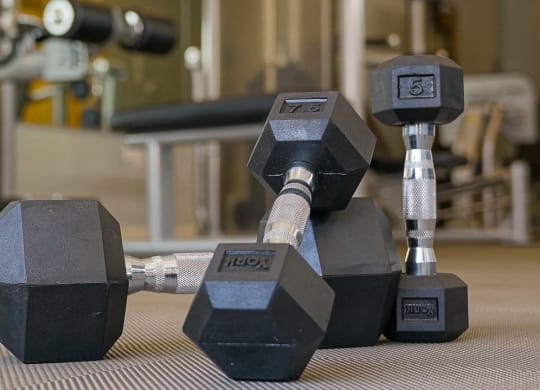 Fitness Center at Venture Apartments iN Tech Center in Newport News VA