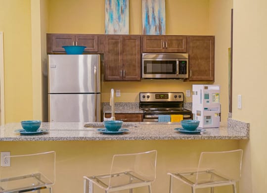 Kitchen Appliances at Venture Apartments iN Tech Center in Newport News