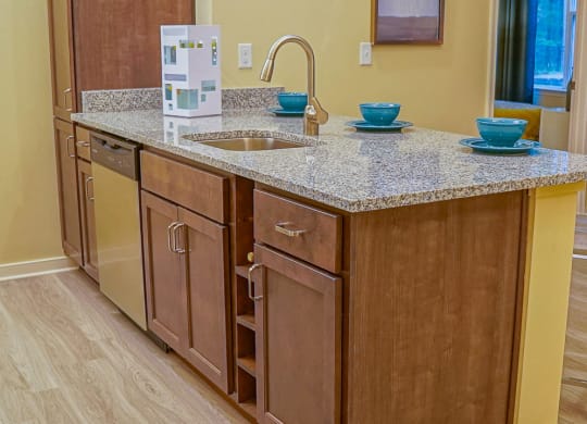 Kitchen Counters in Venture Apartments iN Tech Center in Newport News VA