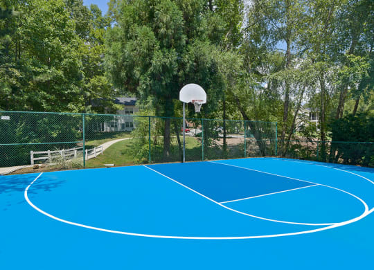 Avalon-Peaks-Apartments-Apex-NC-Basketball-Court