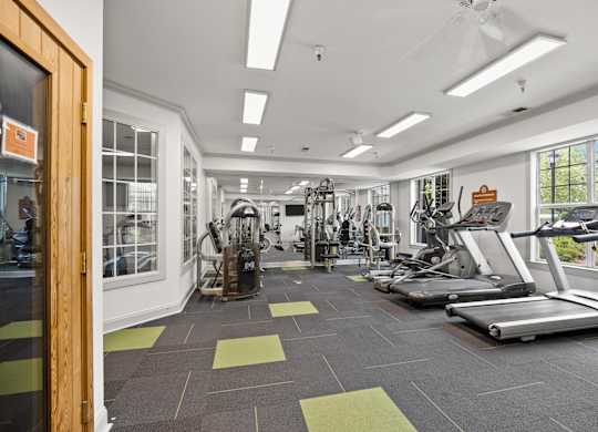 A gym with treadmills, weights and exercise machines.