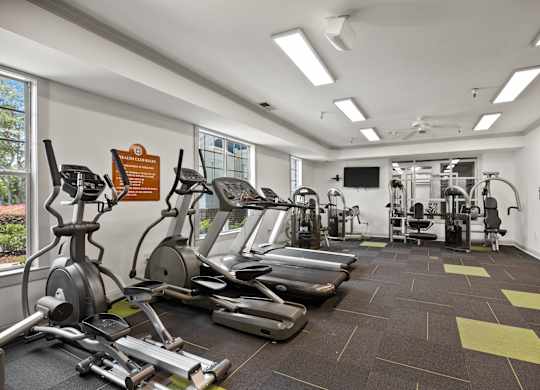 A gym with a variety of equipment including treadmills, weights, and a television.