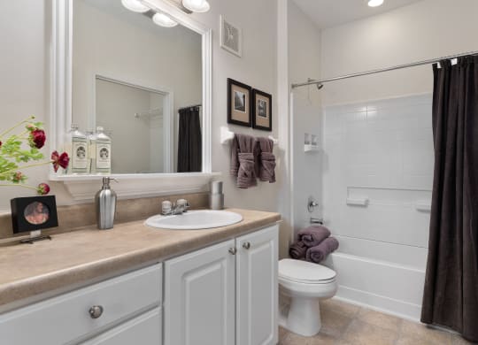 a bathroom with a sink and a toilet and a shower at The Charleston, Columbus