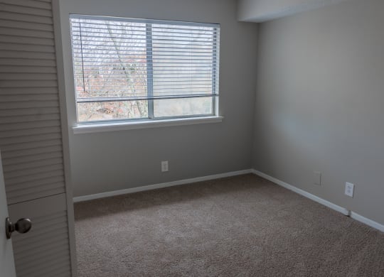 an empty room with a window and carpet