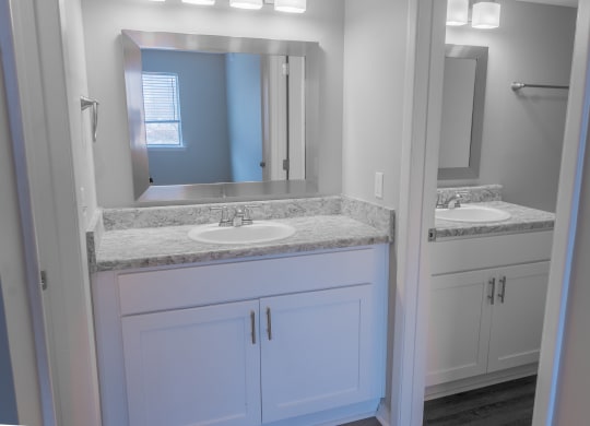 a bathroom with two sinks and a mirror