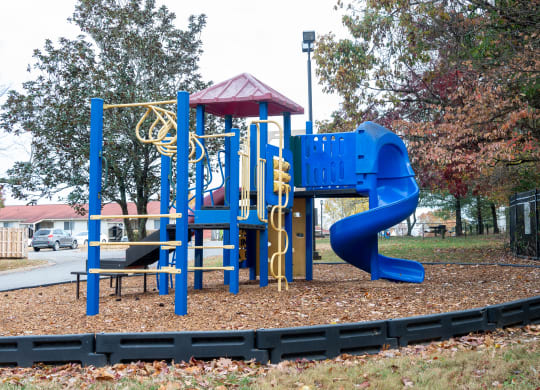 a playground at a park with a blue slide
