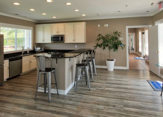 Community Room Kitchen at Virginia Beach Apartments