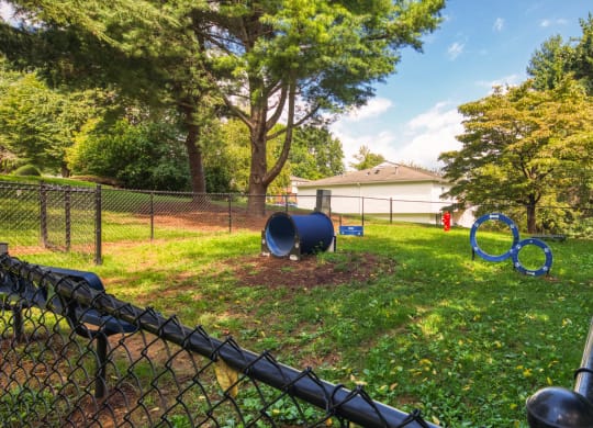Dog Park at The Everett  Apartments in Roanoke, VA  24018