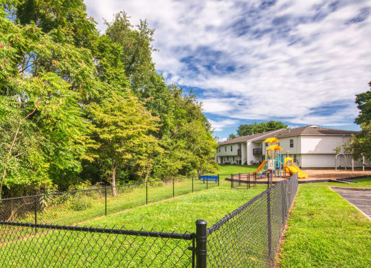 Grassy Dog Area at The Everett  Apartments in Roanoke, VA 24018