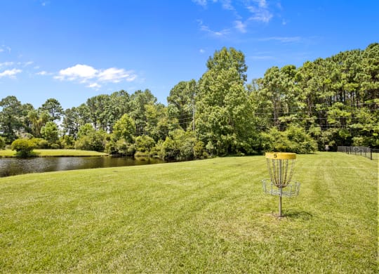 a disc golf goal in the middle of a field with a lake