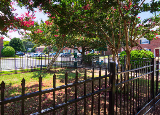 Pet Friendly Senior Apartments