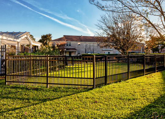 Pet friendly apartments for age 55+