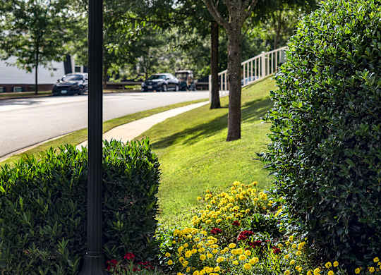 A street sign for Doray Court stands in front of a green hedge.