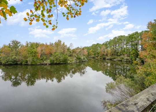 Pond Mill Creek