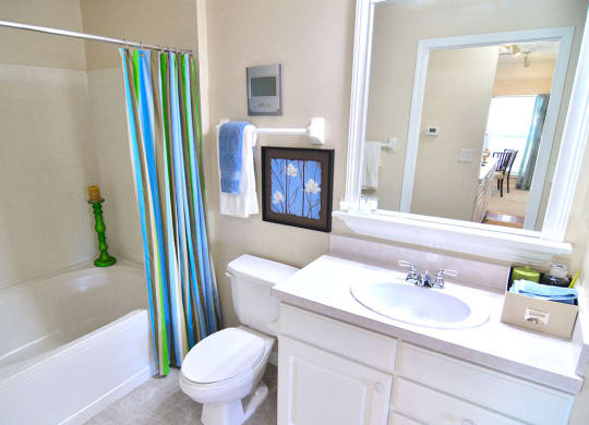 Bath 2 at The Farms Apartments , Columbus, 43221