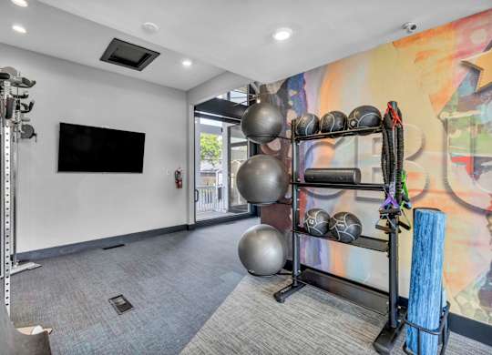 A gym room with a television, exercise balls, and a rack of resistance bands.