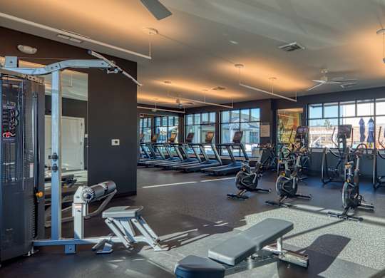 A gym with a variety of equipment including treadmills, weights, and exercise machines.